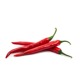 Vegetable Red Chili Sample